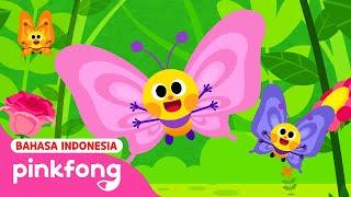 Kupu-kupu yang Cantik  Lagu Serangga Anak  Baby Shark Pinkfong Indonesia