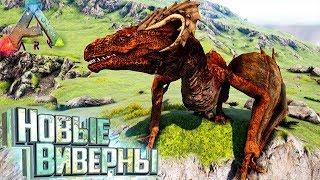 Четыре НОВЫЕ ВИВЕРНЫ в ARK Survival Pyria Evolved #9