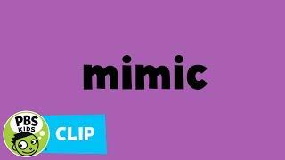 WORD OF THE WEEK  Mimic  PBS KIDS