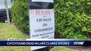 Nonprofit offers $7500 reward for information regarding Lake Clarke Shores cat killer