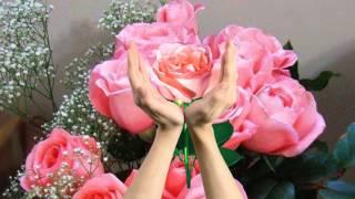 Самые красивые картинки цветов.Розы живые. Flowers Roses