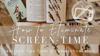Tips for Eliminating Screen Time  How Our Family Cut Out Screens
