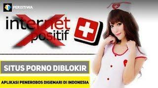 Situs Porno Diblokir Aplikasi Penerobos Digemari di Indonesia