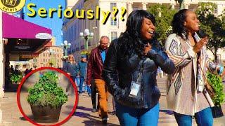 Bushman Prank 2020 Ultimate Best of Video