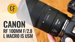 Canon RF 100mm f2.8 L Macro IS USM lens review with samples