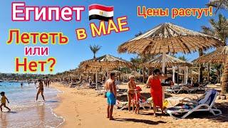 Египет в МАЕ  Стоит ли ЛЕТЕТЬ?️ Цены на туры. ЖАРА не пугает. Какая ПОГОДА. Плюсы и минусы.