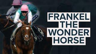 The Worlds Greatest Horse  Frankel The Wonder Horse  7 Amazing Wins Including The Queen Anne