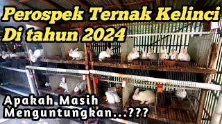 Perosepek Ternak kelinci di tahun 2024 apakah masih layak dan menguntungkan