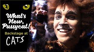 Episode 6 - Whats New Pussycat? Backstage at CATS with Tyler Hanes