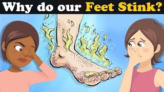 Why do our Feet Stink? + more videos  #aumsum #kids #science #education #whatif