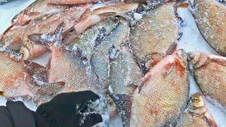 ШОК рыбалка 2024 Лещи - ЛОПАТЫ ОДИН ЗА ДРУГИМ на простую мормышку Сломали снегоход и ДВА DeWalt 