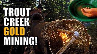 Mining for GOLD at Trout Creek Part 2 #gold #mining