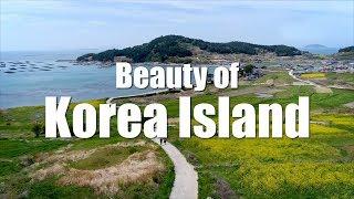 Beautiful Island to visit in South Korea  _waiting for your trip