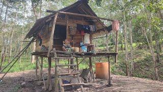 Ketemu seorang pria sendirian tinggal bermalam di pondok hutan kebun karet