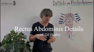 Rectus Abdominis Details Learn Integral Anatomy with Gil Hedley