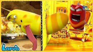 LARVA FULL EPISODE  CARTOON MOVIES FOR LIFE  THE BEST OF FUNNY CARTOON  COMEDY VIDEO 2023