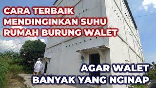 CARA TERAMPUH MENDINGINKAN SUHU RUMAH WALET - Kunci Sukses Bisnis Walet