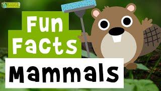 Mammals   - Cartoon Fun Facts  - Animals for Kids - Educational Video