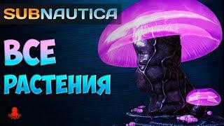 ВСЕ РАСТЕНИЯ Subnautica