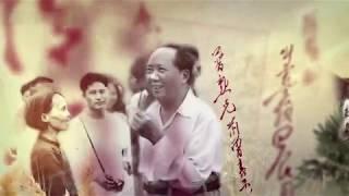 湖南新出开国领袖纪录片——我失骄杨