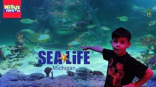 SEA LIFE Michigan Aquarium at Great Lakes Crossing Outlets - Full Tour and Hurricane Simulation