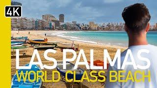 Best Beach Town in the Canaries in 2024? 4K Walk in Las Palmas Beach Gran Canaria 2024