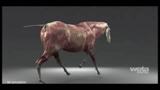 VFX Technology  Tissue System  Weta Digital