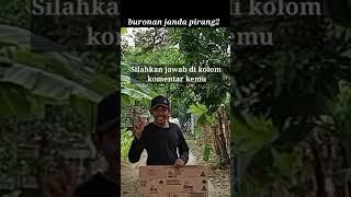 buronan janda pirang2#shortvideo