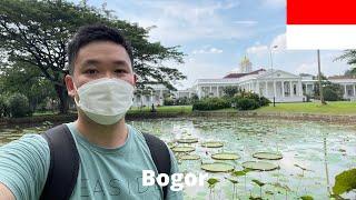 Bogor 茂物｜印尼总统府避暑山庄｜东南亚最大的植物园
