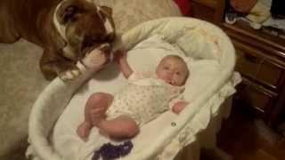 Best Friends - Baby & Bulldog