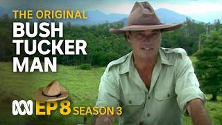 Taming the country Cape York Peninsula ️  Bush Tucker Man  S3 EP8  ABC Australia