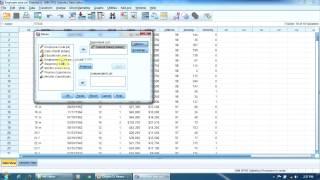 Lesson 15 - The Means Procedure in SPSS