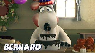 Bernard Bear  Birthday Cake AND MORE  Cartoons for Children  Full Episodes