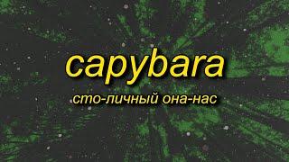 Сто-Личный Она-Нас - Capybara Lyrics  Capybara Song TikTok