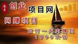 网赚项目 如何一天内赚到1000块钱