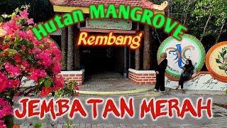 Hutan mangrove REMBANG  Jembatan merah  Cantik dan alami  AWESOME 