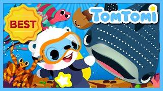 BEST Ocean Animal Songs Compilation  Lets go meet fascinating ocean friends  Kids Song  TOMTOMI