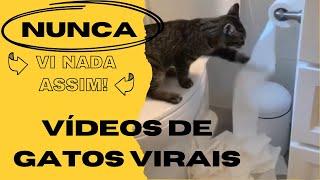 TENTE NÃO RIR 13 -VIDEOS DE GATOS VIRAIS - VIDEO ENGRAÇADOS E MELHORES MEMES #2024 #comedia #gatos