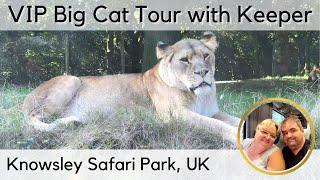 Knowsley Safari Park VIP Big Cat Tour - Lions - Knowsley Safari Park England