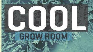 Cool Basement Grow Room Upgrades — New LED Grow Lights