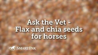 Ask the Vet - Flax and chia seeds for horses