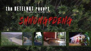 Shnongpdeng - A Perfect Getaway  The Betel Nut Resort The Place Youd Rather Be