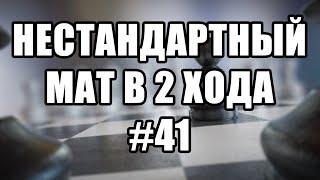 Шахматные задачи мат в 2 хода. Выпуск №41. Решение задач. Шахматы задачи. Мат в два хода.