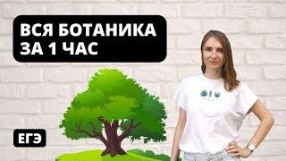 Вся Ботаника за 1 час  ЕГЭ Биология