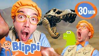 Blippi Learns About Dinosaurs  BEST OF BLIPPI TOYS  Educational Videos for Kids