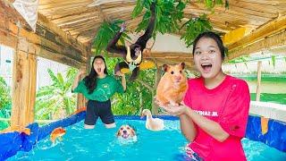 LÀM BỂ BƠI TRÊN CÂY CAO 1000M SIÊU XỊN  Ngôi Nhà Bể Bơi Sở Thú  Trang Vlog