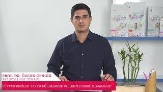 Sütten Kesilen Yavru Köpeklerde  Beslenme Nasıl Olmalıdır?  Prof. Dr. Özcan Cengiz