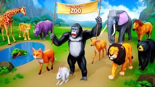 Funny Zoo Animals Zoo Keeper Gorilla  Lion Elephant Fox Giraffe Hippo Horse Bear Animal Cartoons