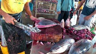 Fish Cutting Skills Sri Lanka  Tuna Fish Cutting