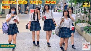 4k hdr japan travel 2024  Walk in Shibuya 渋谷 Tokyo Japan   Relaxing Natural City ambience